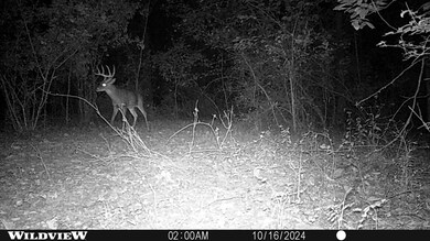 9199 Schupbach Rd, Sparta, IL 62286 - photo 7