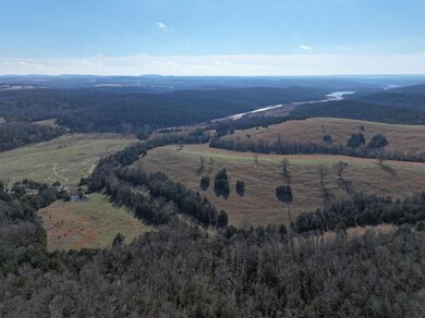 000 Hwy 160, Gainesville, MO 65655 - photo 6