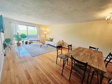 32 Whites Ave unit D33, Watertown, MA 02472 - photo 2