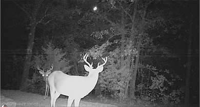 100351 S 4536 Rd, Vian, OK 74962 - photo 4