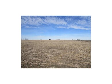 A view from the southeast corner of the property.