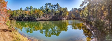 69 Highway 80 Rd, Auburn, AL 36830 - photo 2