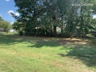 back yard