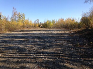 2207 S Ronnie Ct, Big Lake, AK 99654 - photo 7