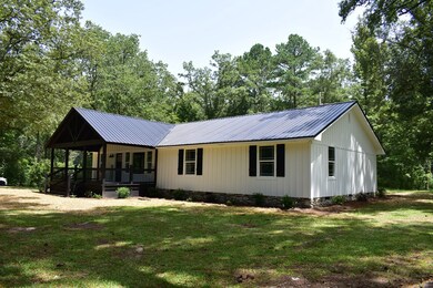 1116 Lee Road 334, Salem, AL 36874 - photo 3