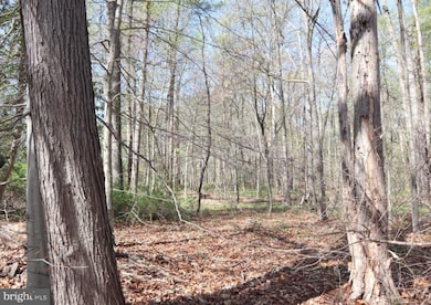 0 Fairlee Rd, Chestertown, MD 21620 - photo 5