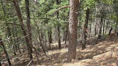 Lots2,3,9,10 Henry Summit Dr unit 23910, High Rolls, NM 88317 - photo 3