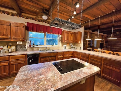 1249 Sharp Rd, Speedwell, TN 37870 - photo 6