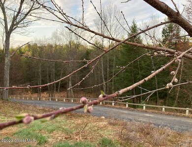145 Lake Desolation Rd, Middle Grove, NY 12850 - photo 3
