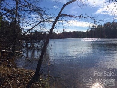 Shoreline