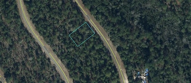 TBD Bonita Dr, Chipley, FL 32428 - photo 2
