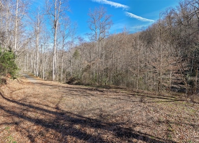 3 Waterdance Dr, Cullowhee, NC 28723 - photo 2