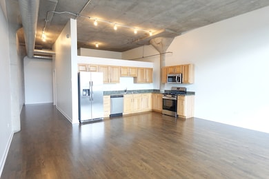 Shoemaker Lofts unit 219, Chicago, IL 60618 - photo 6