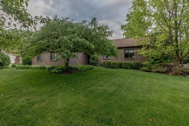 2293Sutter-5176