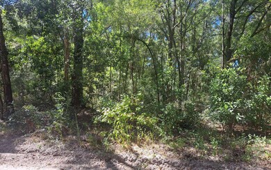 TBD 39th Ln, Branford, FL 32008 - photo 5