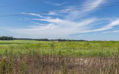 TBD Mixson Rd, Lake City, FL 32024 - photo 6