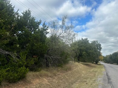 1533 White Bluff Dr, Whitney, TX 76692 - photo 4