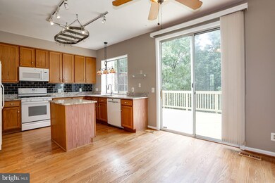 5137 Beauregard St, Alexandria, VA 22312 - photo 4