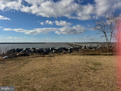 0 Mad Calf Ln unit 321, Nanticoke, MD 21840 - photo 7