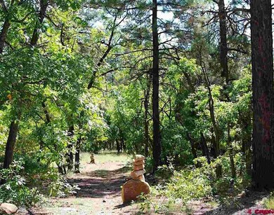 Hiking trails through subdivision
