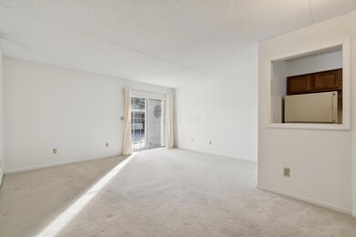 Entry/Dining/Living