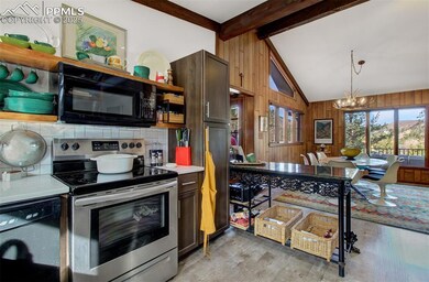 9835 Mesa Rd, Cascade, CO 80809 - photo 6