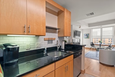 Metropolitan Place unit 1160, Madison, WI 53703 - photo 6