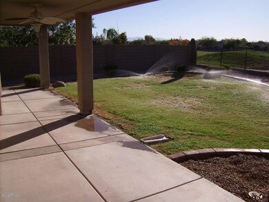 Backyard!