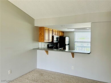 4708 SW 8th Place unit 201, Cape Coral, FL 33914 - photo 6
