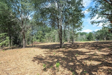 00 Hwy 69 Cr 484, Mineola, TX 75773 - photo 7