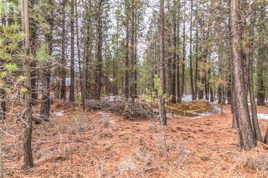 16907 Covina Rd, Bend, OR 97707 - photo 5