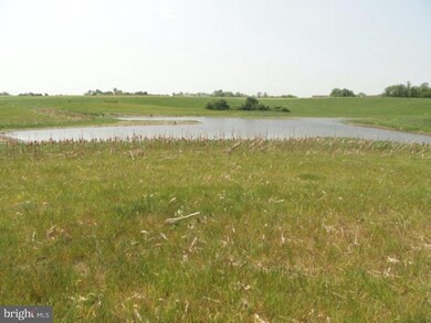 0 Pond Neck Rd unit 1002599580, Earleville, MD 21919 - photo 5