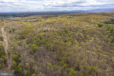 0 0 May Apple Ct, Cross Junction, VA 22625 - photo 6