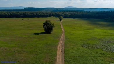 200-02930-000 Barber Rd, Booneville, AR 72927 - photo 3