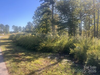 2478 Jumping Run unit 52, Connelly Springs, NC 28612 - photo 3