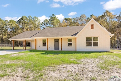 1725 Deanna Rd, Diana, TX 75640 - photo 2