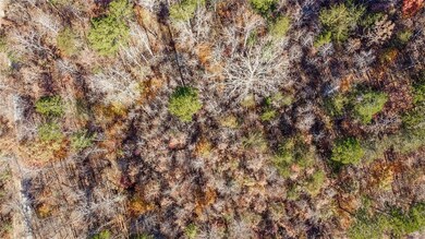 0 Auraria Rd unit 7683543, Dawsonville, GA 30534 - photo 5