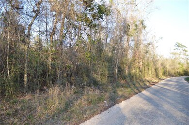 0 Bateman Rd, Franklinton, LA 70438 - photo 7