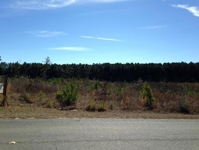 TBD Section Line Rd, Leesville, LA 71446 - photo 3