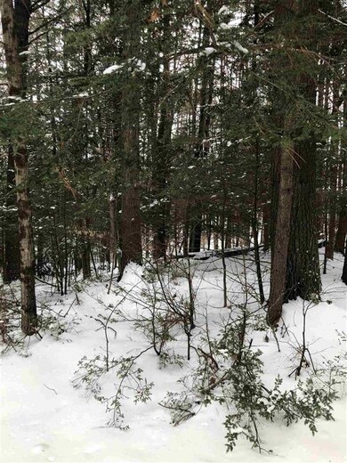 0 Sugarhill Ln unit 3115, Hartford, VT 05001 - photo 2