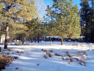 8584 W Elk Rd, Strawberry, AZ 85544 - photo 6