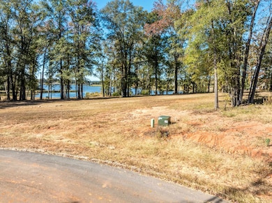 0 Carolina Dr Lot 12, Bullard, TX 75757 - photo 6