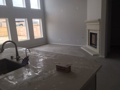 28627 Sonoran Field Ct, Fulshear, TX 77441 - photo 4