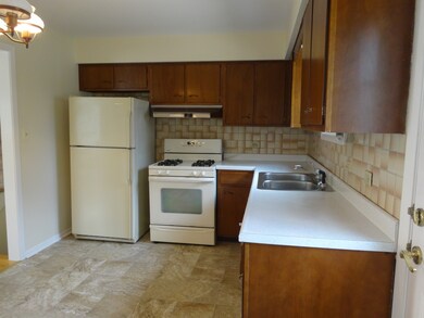 392 W Madison St, Elmhurst, IL 60126 - photo 7