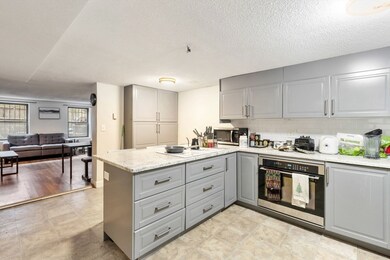 182 W Brookline St unit 1, Boston, MA 02118 - photo 4