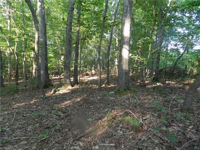 0 Old Cox Rd unit 806350, Asheboro, NC 27205 - photo 2