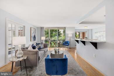 Takoma Overlook Condominium unit 219W, Takoma Park, MD 20912 - photo 3