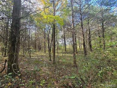 30 Acres Hwy E, Cadet, MO 63630 - photo 3