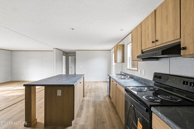 402 Tedder St, Rockwood, TN 37854 - photo 6