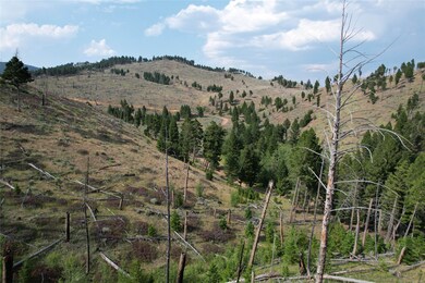 467 Depot Hill Rd, Boulder, MT 59632 - photo 5